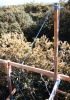 treehouse fulton