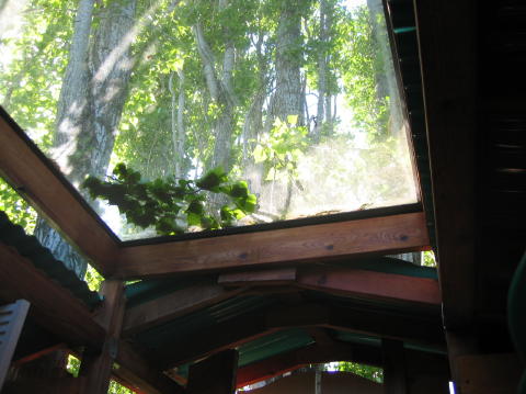 treehouse