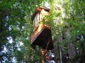 treehouse