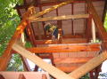 treehouse