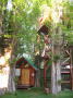 treehouse