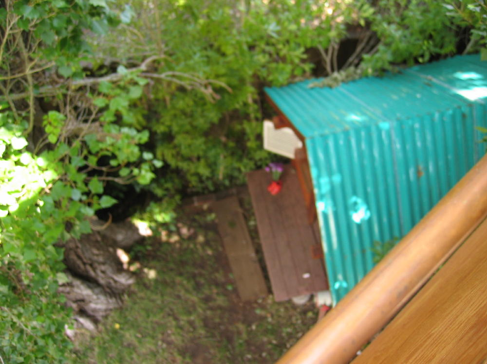 treehouse down